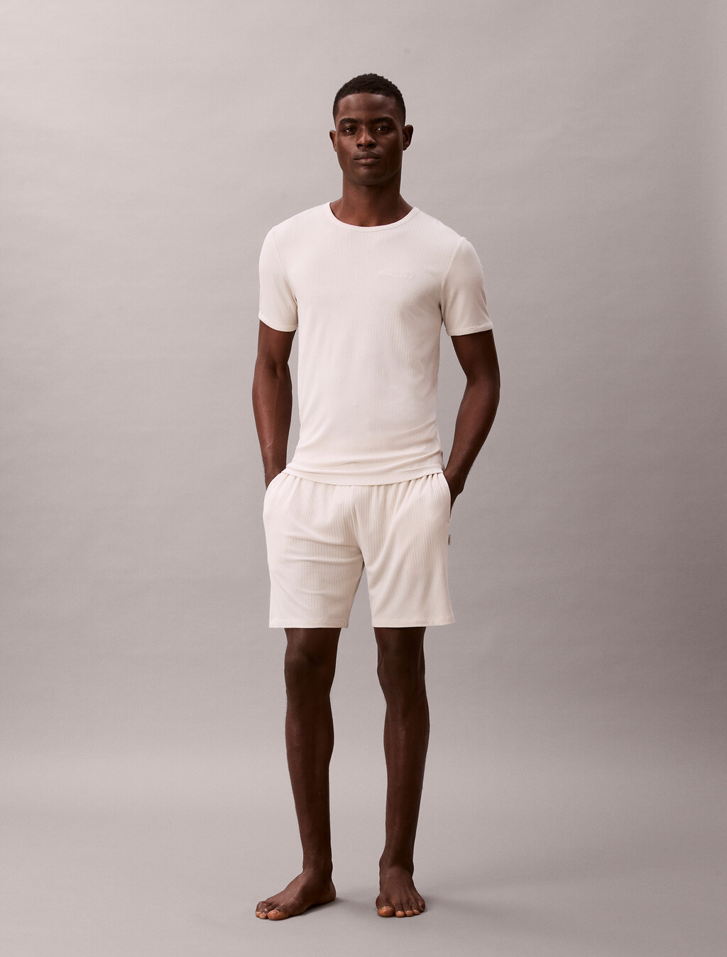 Conjunto de punto de rayas de modal